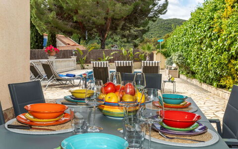 Marsa: Vegetation, Struik, De Lente, Verblijf, Tuin, Schaduw, Backyard, Werf, Stoel