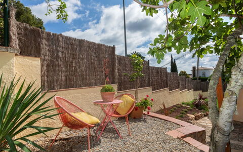 Marsa: Vegetation, Struik, De Lente, Verblijf, Tuin, Schaduw, Backyard, Werf, Stoel
