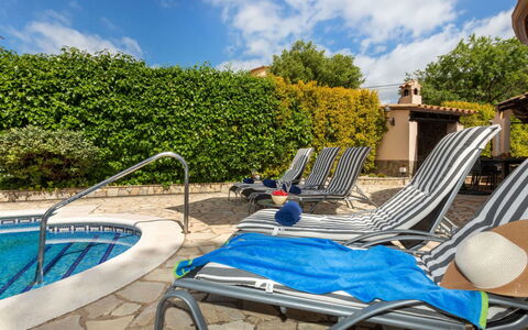 Marsa: Vegetation, Struik, De Lente, Verblijf, Tuin, Schaduw, Backyard, Werf, Stoel