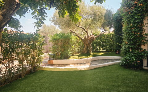 Casa Dell'Ulivo: Vegetation, Struik, De Lente, Verblijf, Tuin, Schaduw, Backyard, Werf, Stoel