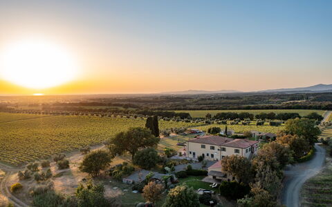 Villa Bellaria, Private Pool, Bolgheri: Landschap, Plain, Horizon, Grasland, Land Lot, Landelijk Gebied, Ecoregio, Veld, Landbouw, Plantage