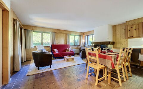 Les Naines Brunes: Interieur Ontwerp, Plafond, Hout, Meubilair, Flooring, Kamer, Verdieping, Bankstel, Woonkamer, Appartement