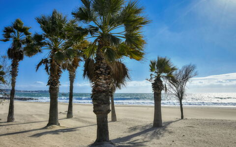 Virginie: Lucht, Blauw, Strand, Zand, Kust, Zee, Trunk, Kust En Oceanic Landvormen, Kust, Oceaan
