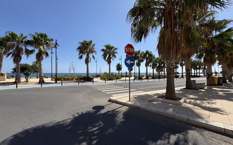 Appartamento Il Vulcano: Boom, Straatlantaarn, Schaduw, Stoep, Gang