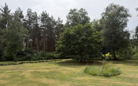 Fritzy - 1.5Km from the Sea: Hout, Meubilair, Appartement, Kamer, Plafond, Beits, Stoel, Hardwood, Vernis, Timmerhout