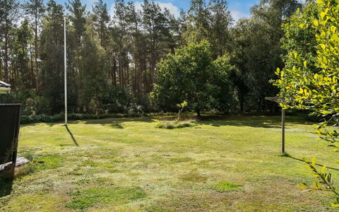 Fritzy - 1.5Km from the Sea: Gras, Boom, Blad, Land Lot, Gazon, Tuin, Trunk, Bosje, Schaduw