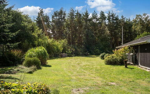 Fritzy - 1.5Km from the Sea: Gras, Groen, Struik, Tuin, Land Lot, Groundcover, Gazon, Verblijf, Landscaping
