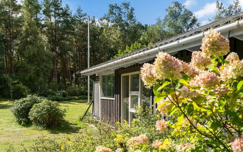 Fritzy - 1.5Km from the Sea: Vegetation, Struik, Huis, Verblijf, Huis, Tuin, Land Lot, Plantengemeenschap, Groundcover, De Lente