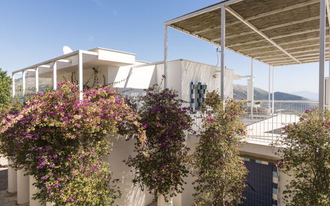 Capri: Balkon, Appartement, Schaduw, Daylighting
