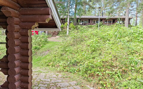 Mäkrä 3: Hout, Struik, Land Lot, Groundcover, Woud, De Lente, Trunk, Bos, Tuin, Verblijf