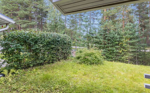 Artunkuja: Struik, Tuin, Groundcover, De Lente, Haag, Schaduw, Gazon, Landscaping, Werf, Backyard