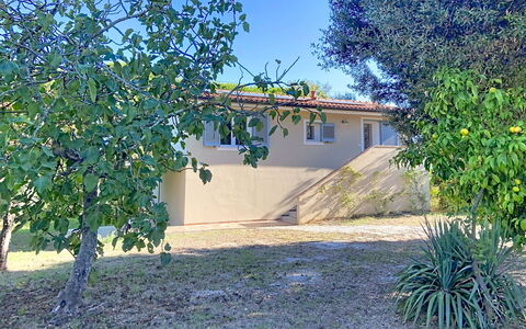 Linaglia: Schaduw, Tuin, Backyard, Werf, Gazon, Landscaping, Oprit, Schaduw, Boerderij