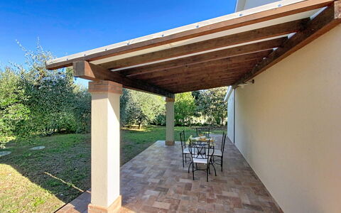 Linaglia: Hout, Schaduw, Straal, Kolom, Outdoor Structuur, Beits, Plafond, Buitenmeubels, Tuin, Patio