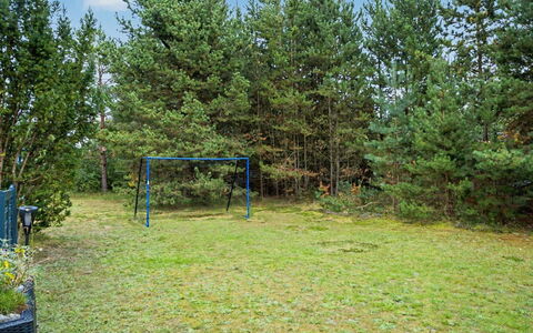 Karelia - 900M from the Sea: Boom, Woody Plant, Gazon, Tuin, Bosje, Bos, Schaduw, Park, Landscaping, Evergreen