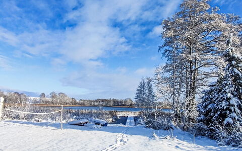Worławki 100: Sneeuw, Lucht, Blauw, Winter, Afdeling, Dag, Boom, Natuurlijk Landschap, Takje, Vorst