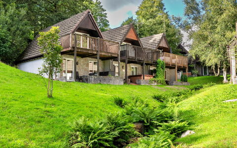 Daisy Valley Lodge: Huis, Verblijf, Landelijk Gebied, Menselijke Nederzetting, Huis, Groundcover, Gazon, Tuin, Werf, Boerderij