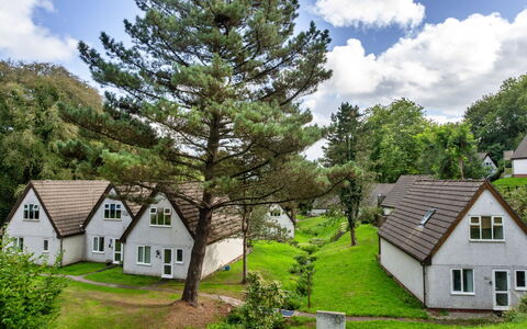 Daisy Valley Lodge: Struik, Landelijk Gebied, Verblijf, Tuin, Gazon, Weide, Landscaping, Lariks, Evergreen
