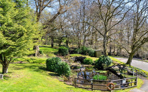 Daisy Valley Lodge: Gras, Boom, Blad, Natuur, Afdeling, Struik, Natuurlijk Landschap, Tuin, Landschap