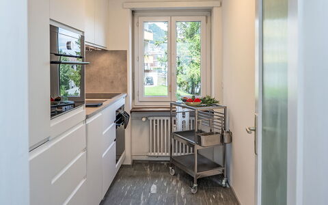 Chesa Salet: Struik, Huis, Woongebied, Huis, Tuin, Schaduw, Werf, Binnenplaats, Bloempot