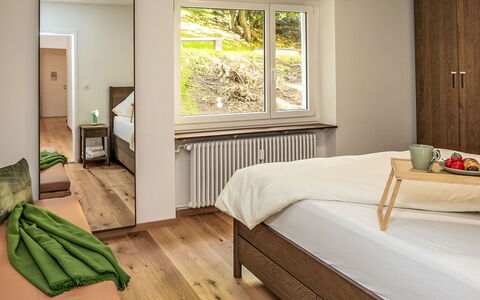 Chesa Salet: Struik, Huis, Woongebied, Huis, Tuin, Schaduw, Werf, Binnenplaats, Bloempot