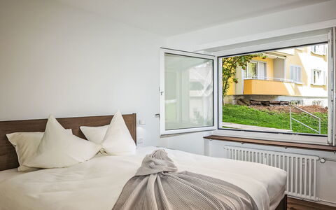 Chesa Salet: Struik, Huis, Woongebied, Huis, Tuin, Schaduw, Werf, Binnenplaats, Bloempot