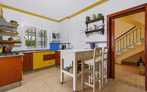 Rompeolas: Struik, Huis, Woongebied, Huis, Tuin, Schaduw, Werf, Binnenplaats, Bloempot