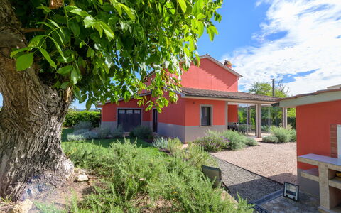 Red House: Lucht, Dak, Huis, Struik, Woongebied, Huis, Land Lot, Verblijf, Landelijk Gebied