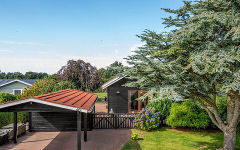 Anarosa - 6Km from the Sea: Struik, Huis, Huis, Dak, Verblijf, Tuin, Schaduw, Gazon, Landscaping, Werf