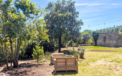 Villa Monti: Boom, Blad, Vegetation, Struik, Landschap, Tuin, Landelijk Gebied, Schaduw, Bodem