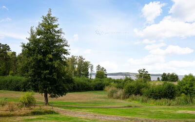 Björkfjärden