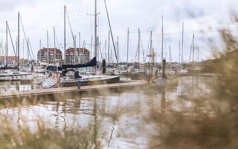 Amielie with Lateral Seaview: Water, Boot, Watercraft, Jachthaven, Mast, Zeilboot, Reflectie, Boten En Varen - Materialen En Benodigdheden, Haven, Dok