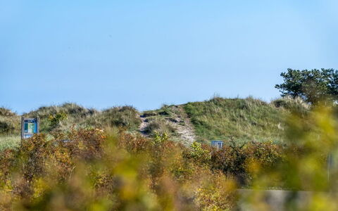 Herdina - 300M from the Sea: Lucht, Blauw, Gras, Groen, Vegetation, Ecoregio, Grasland, Plantengemeenschap, Struik