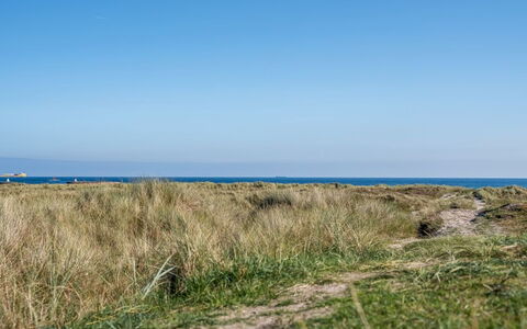 Herdina - 300M from the Sea: Blauw, Gras, Horizon, Grasland, Ecoregio, Zomer, Zee, Plantengemeenschap, Shrubland, Plain