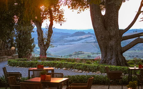 La Veduta – Scenic Views, Historic Castelfalfi: Meubilair, Tuin, Buitentafel, Buitenmeubels, Landscaping, Schaduw, Eco Hotel, Plantage, Avond