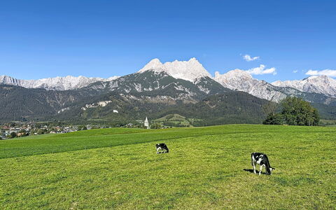 Thorermartlgut Incl. Gästekarte: Architectuur, Helling, Verblijf, Bergketen, Blokhut, Siding, Timmerhout, Alpen, Eco Hotel, Bergdorp