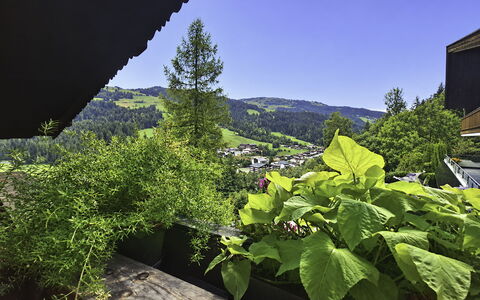 Manharthof: Architectuur, Helling, Verblijf, Bergketen, Blokhut, Siding, Timmerhout, Alpen, Eco Hotel, Bergdorp