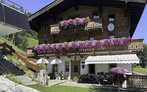 Manharthof: Architectuur, Helling, Verblijf, Bergketen, Blokhut, Siding, Timmerhout, Alpen, Eco Hotel, Bergdorp