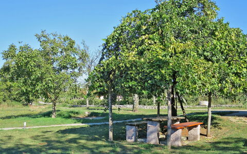 Danijela 2: Architectuur, Helling, Verblijf, Bergketen, Blokhut, Siding, Timmerhout, Alpen, Eco Hotel, Bergdorp