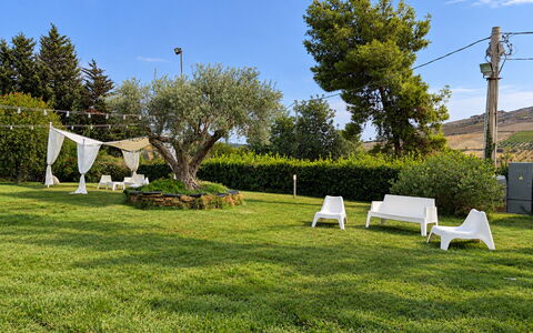 Casa Boungalow: Gras, Boom, Groen, Landschap, Tuin, Gazon, Land Lot, Groundcover