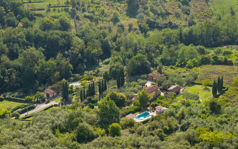 Al Melo: Boom, Vegetation, Landschap, Landelijk Gebied, Huis, Struik, Woongebied, Plantengemeenschap, Dak, Land Lot