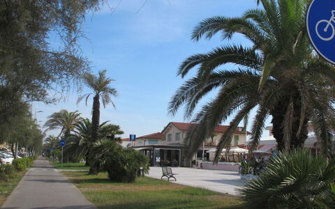Casa Corallina: Boom, Openbare Ruimte, Schaduw, Stoep, Gang, Oprit