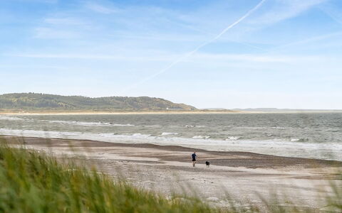Alena - 50M from the Sea: Natuurlijke Omgeving, Strand, Kust, Horizon, Ecoregio, Zee, Kust En Oceanic Landvormen, Kust, Oceaan, Zand
