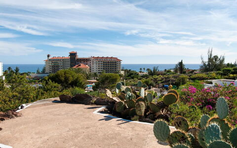 Red Rocks: Tuin, Landscaping, Vakantie, Gang, Tropen, Botanische Tuin