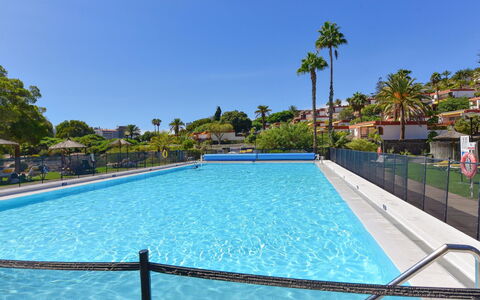 Red Rocks: Boom, Zwembad, Toevlucht, Vrije Tijd, Recreatie, Schaduw, Vakantie, Eco Hotel, Hotel