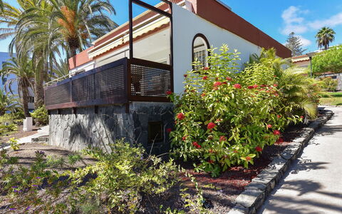 Red Rocks: Boom, Struik, Schaduw, Tuin, Eco Hotel, Landscaping, Hacienda, Gang