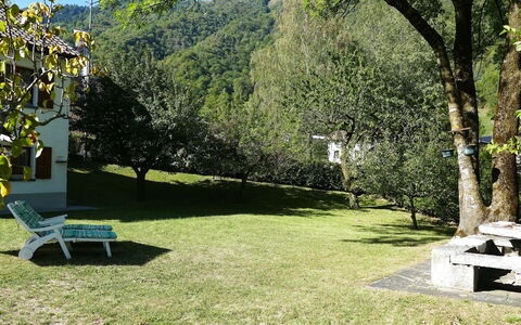 Ca' Angiulin: Gazon, Tuin, Schaduw, Park, Werf, Backyard, Evergreen