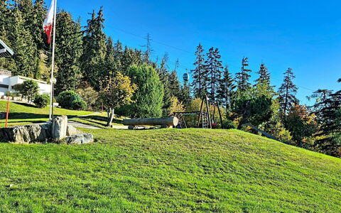 Crans-Montana 480: Gras, Groen, Grasland, Landschap, Land Lot, Weide, Gazon, Pasture, Lariks