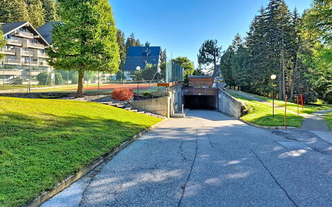 Crans-Montana 480: Boom, Schaduw, Lariks, Landscaping, Gang, Evergreen, Oprit, Pine Family