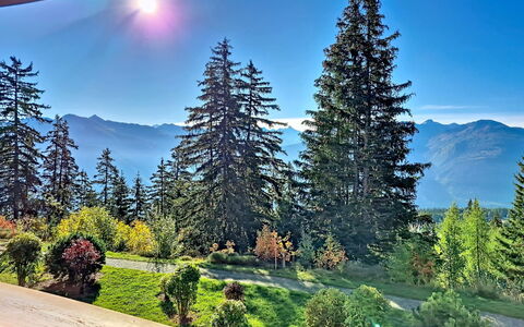 Crans-Montana 480: Lucht, Bergachtig Landvormen, Boom, Berg, Natuur, Heuvel, Wildernis, Hoogland, Landschap, Bergketen