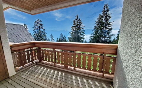 Accommodatie:&nbsp;Le Chamois D'Or A303 480.2